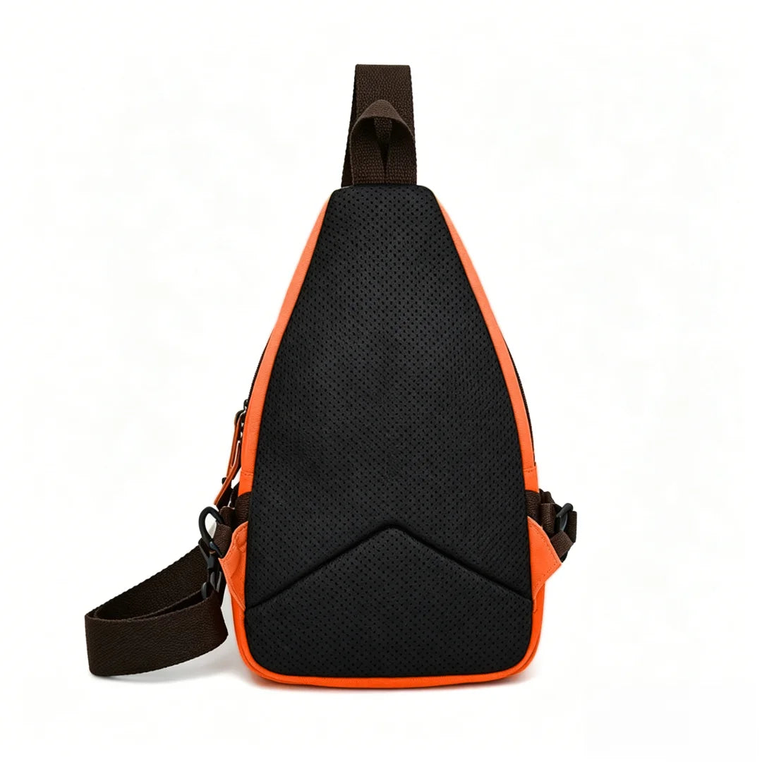 Bag Dragon Ball Goku