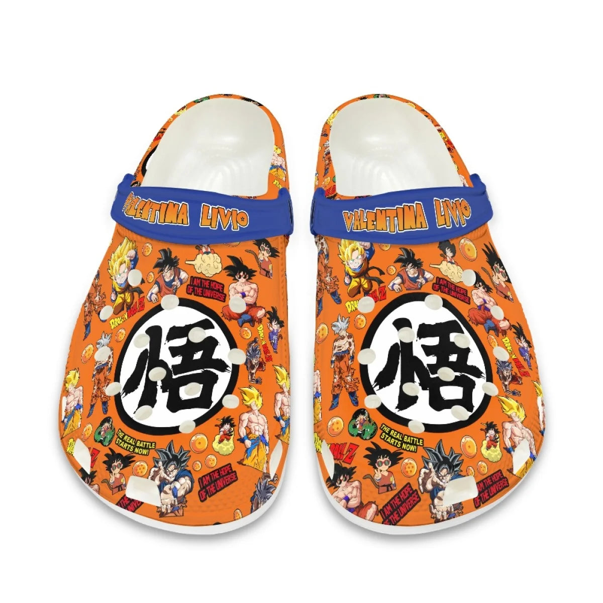 Dragon Ball Slippers (13 Options)