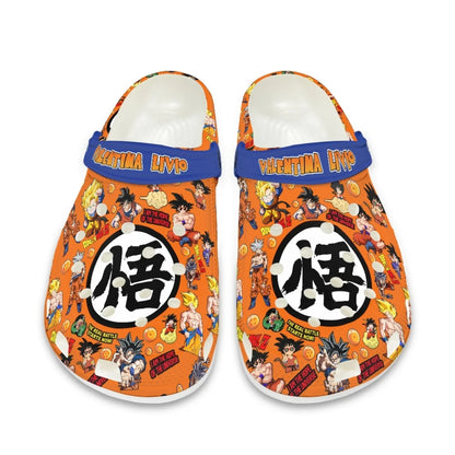 Dragon Ball Slippers (13 Options)